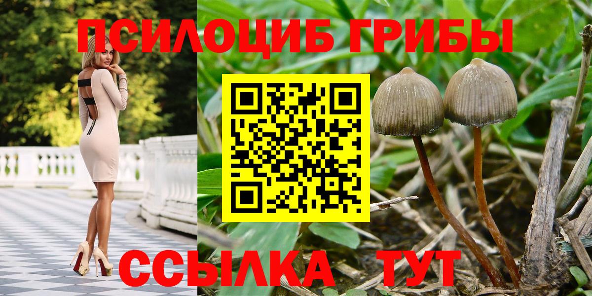 Сургут  Псилоцибиновые грибы Cubensis  Вход с VPN  закладки  Псилоцибиновые грибы MAGIC MUSHROOMS 
